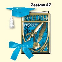 Zestaw 47